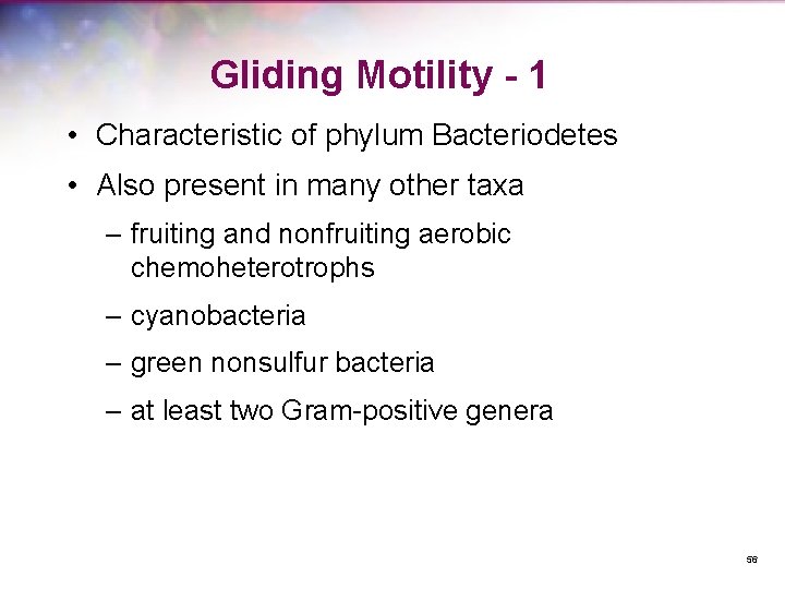 Gliding Motility - 1 • Characteristic of phylum Bacteriodetes • Also present in many