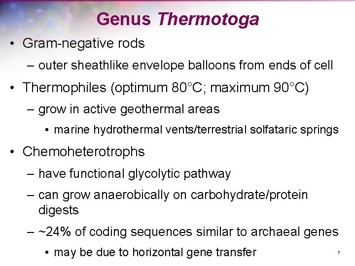 Genus Thermotoga • Gram-negative rods – outer sheathlike envelope balloons from ends of cell