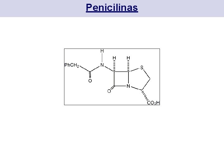 Penicilinas 