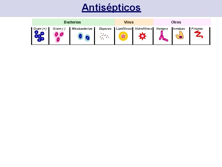 Antisépticos Bacterias Gram (+) Gram (-) Virus Micobacterias Alcoholes Isopropanol Etanol Esporas Lipofilicos R