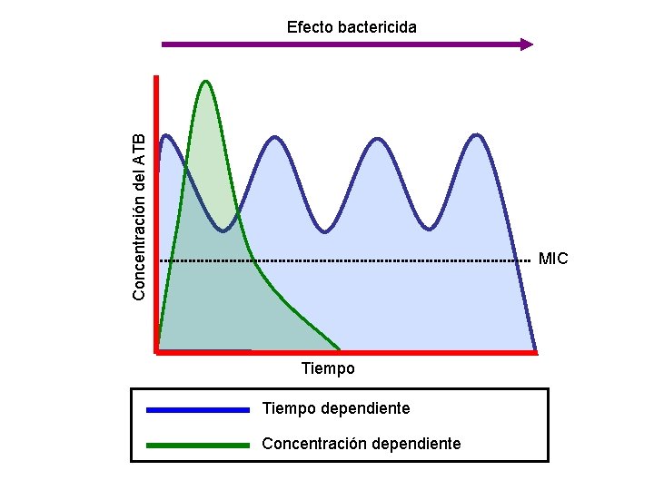 Concentración del ATB Efecto bactericida MIC Tiempo dependiente Concentración dependiente 