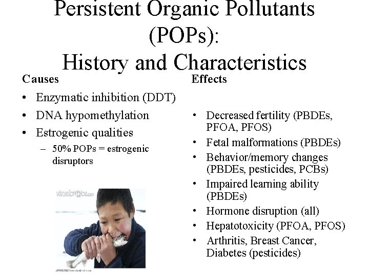 Persistent Organic Pollutants (POPs): History and Characteristics Causes • Enzymatic inhibition (DDT) • DNA