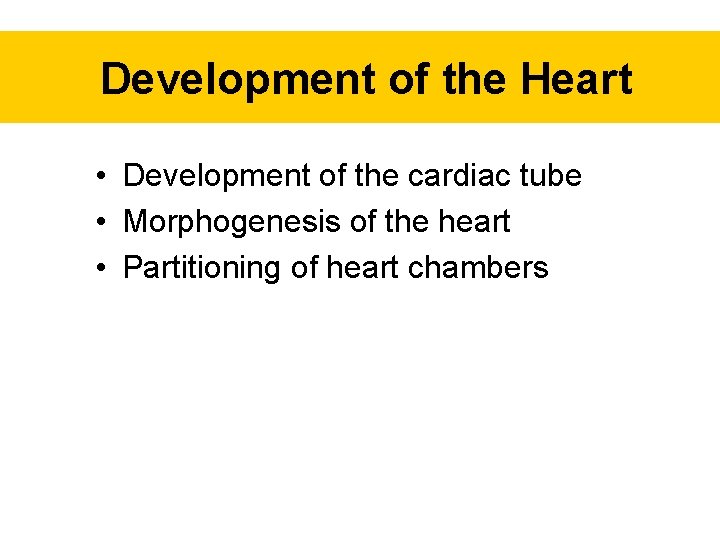 Development of the Heart • Development of the cardiac tube • Morphogenesis of