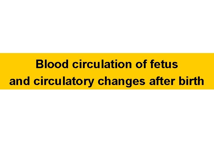 Blood circulation of fetus and circulatory changes after birth 