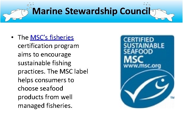 Marine Stewardship Council • The MSC’s fisheries certification program aims to encourage sustainable fishing