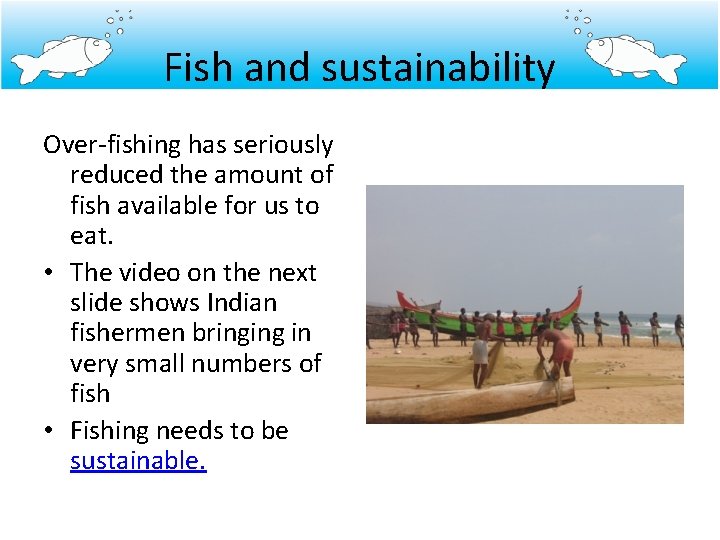 Fish and sustainability Over-fishing has seriously reduced the amount of fish available for us
