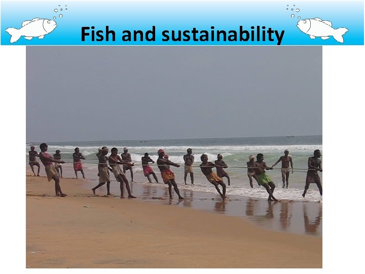 Fish and sustainability 