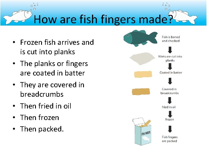 How are fish fingers made? • Frozen fish arrives and is cut into planks