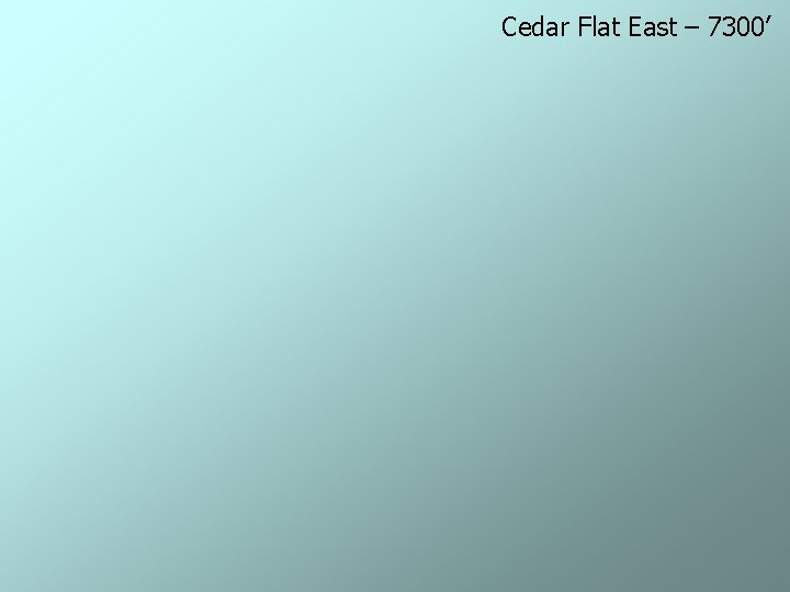 Cedar Flat East – 7300’ 