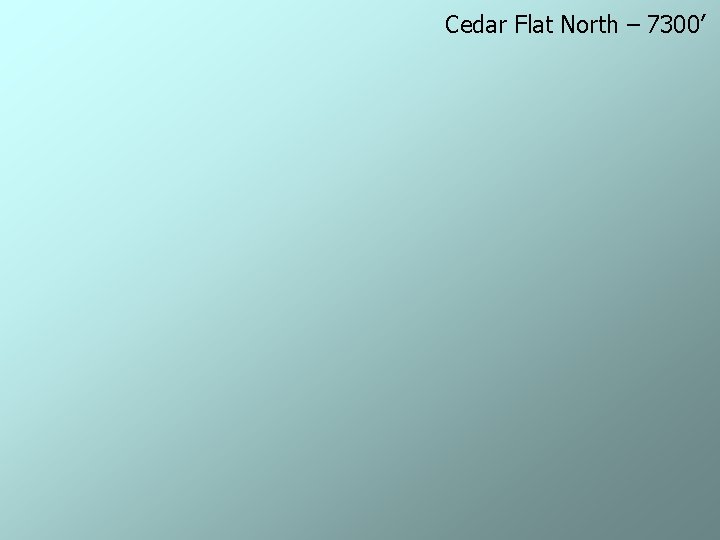 Cedar Flat North – 7300’ 