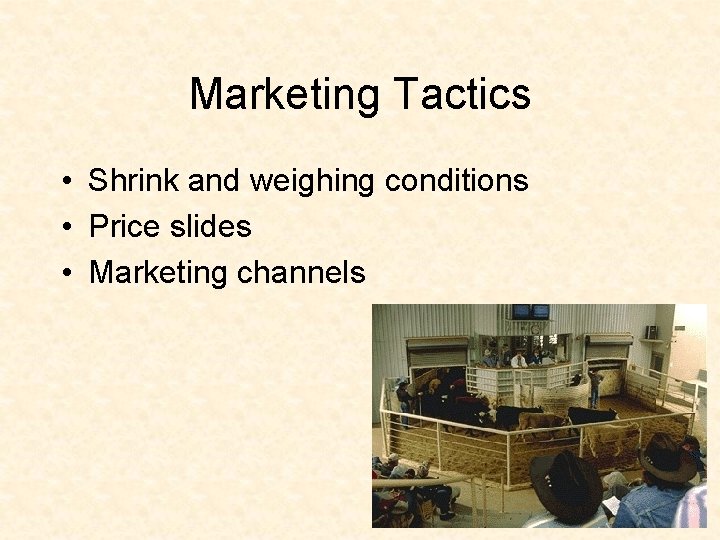 Marketing Tactics • Shrink and weighing conditions • Price slides • Marketing channels 