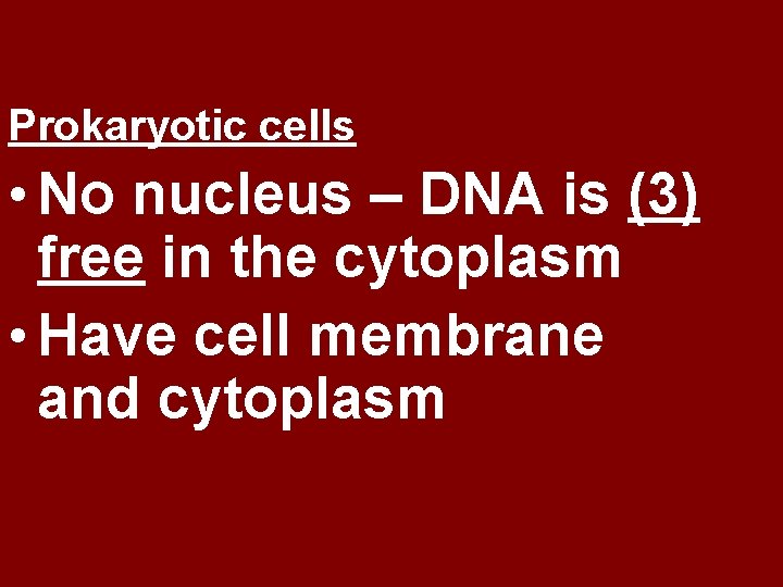 Prokaryotic cells • No nucleus – DNA is (3) free in the cytoplasm •