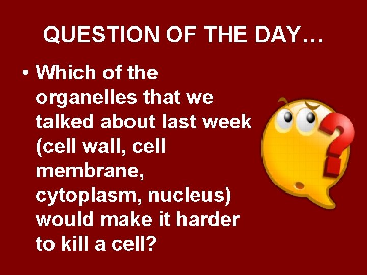 QUESTION OF THE DAY… • Which of the organelles that we talked about last