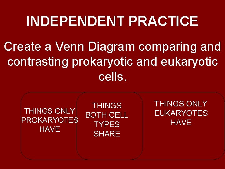 INDEPENDENT PRACTICE Create a Venn Diagram comparing and contrasting prokaryotic and eukaryotic cells. THINGS