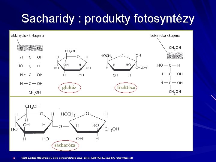 Sacharidy : produkty fotosyntézy Grafika, zdroj: http: //kfrserver. natur. cuni. cz/lide/edmunz/praktika_fr/mb 130 p 13/navody/2_fotosynteza.