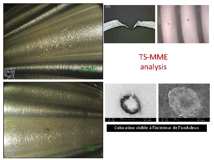 TS-MME analysis Coloration visible à l’intérieur de l’onduleux 