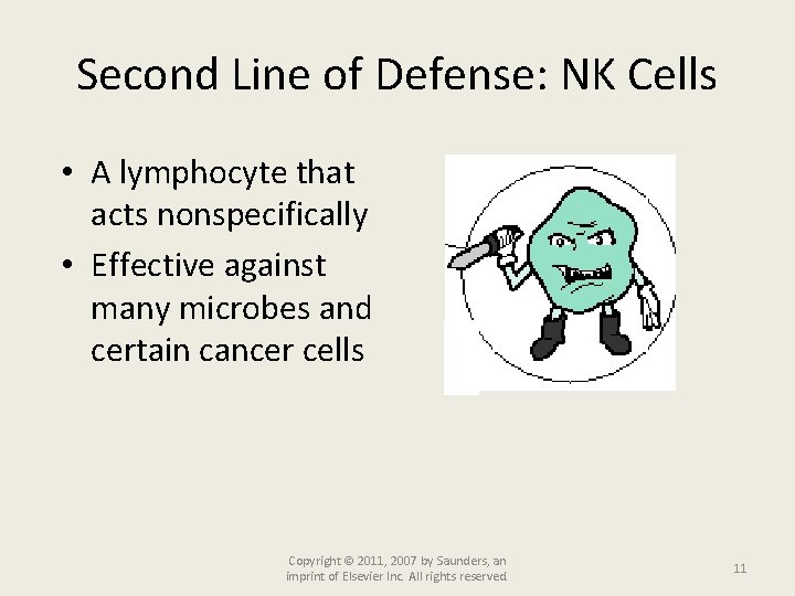 Second Line of Defense: NK Cells • A lymphocyte that acts nonspecifically • Effective