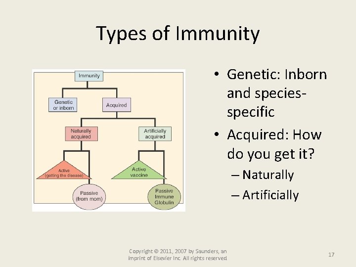 Types of Immunity • Genetic: Inborn and speciesspecific • Acquired: How do you get