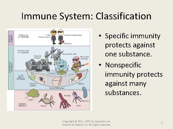 Immune System: Classification • Specific immunity protects against one substance. • Nonspecific immunity protects