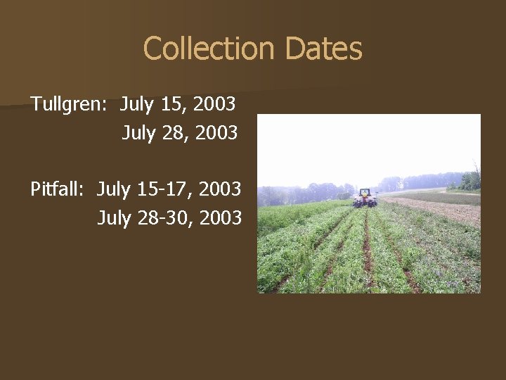 Collection Dates Tullgren: July 15, 2003 July 28, 2003 Pitfall: July 15 -17, 2003