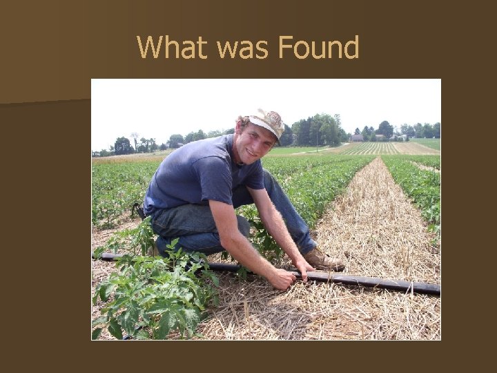 What was Found 
