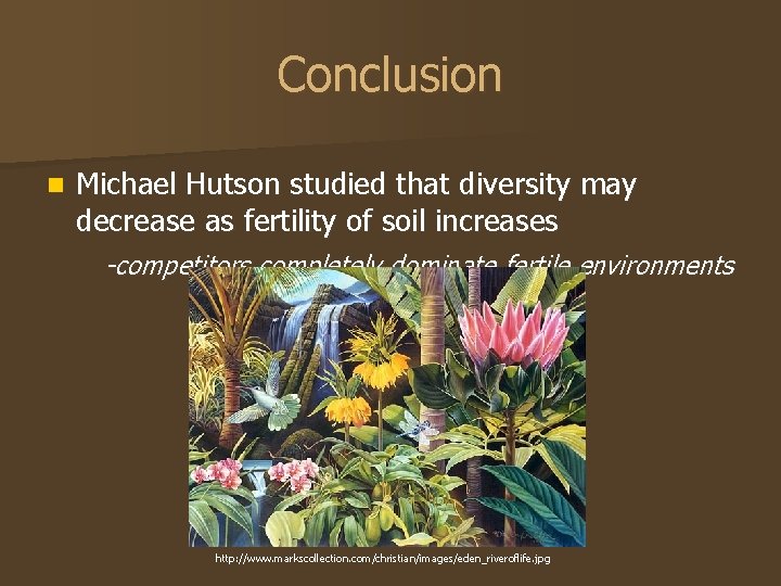 Conclusion n Michael Hutson studied that diversity may decrease as fertility of soil increases