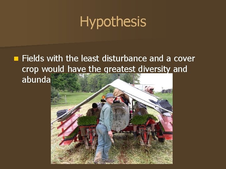 Hypothesis n Fields with the least disturbance and a cover crop would have the