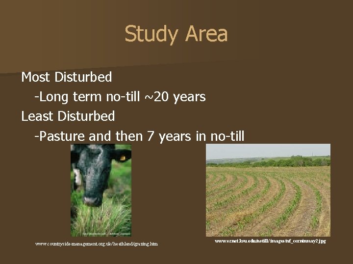 Study Area Most Disturbed -Long term no-till ~20 years Least Disturbed -Pasture and then