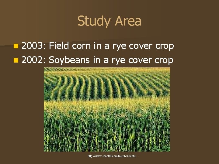 Study Area n 2003: Field corn in a rye cover crop n 2002: Soybeans