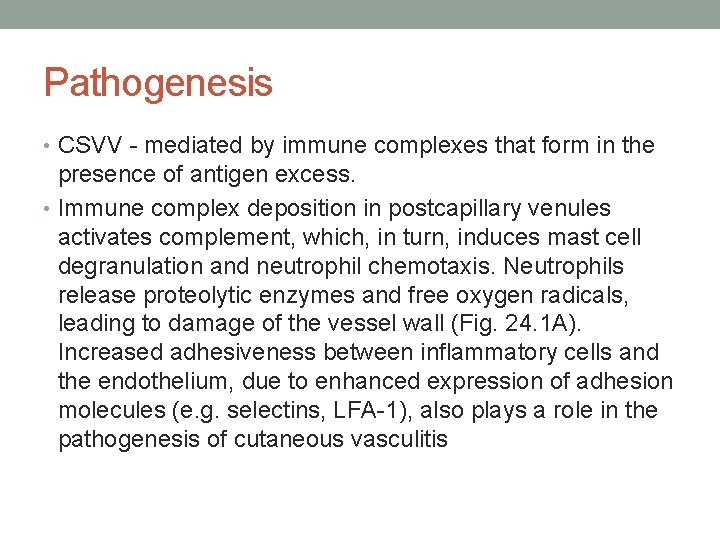 Pathogenesis • CSVV - mediated by immune complexes that form in the presence of