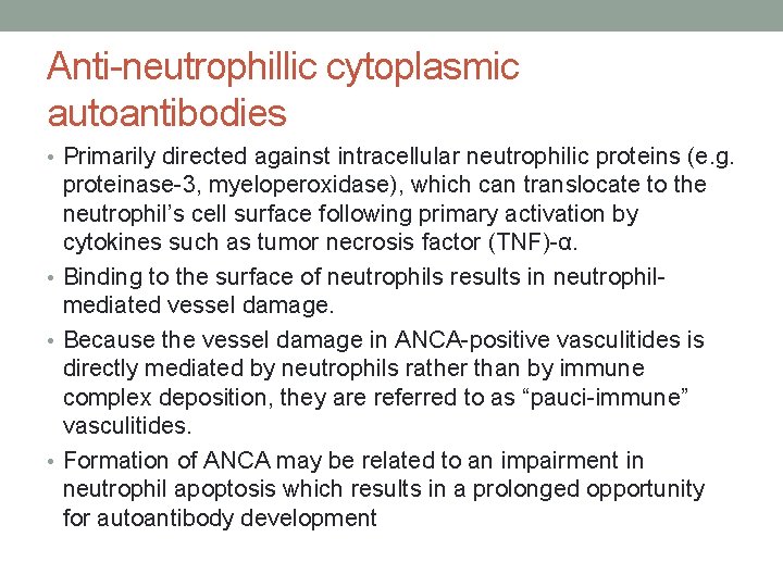 Anti-neutrophillic cytoplasmic autoantibodies • Primarily directed against intracellular neutrophilic proteins (e. g. proteinase-3, myeloperoxidase),