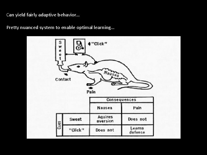 Can yield fairly adaptive behavior… Pretty nuanced system to enable optimal learning… 