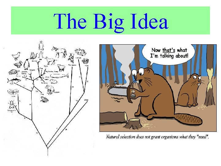 The Big Idea 