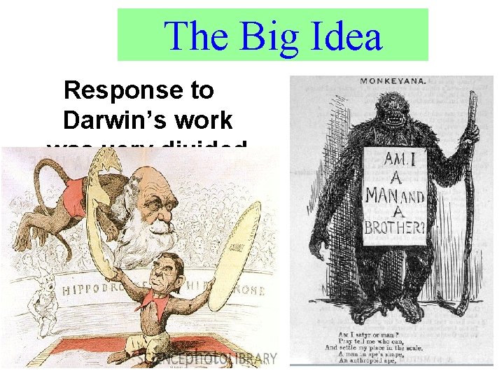 The Big Idea Response to Darwin’s work was very divided 