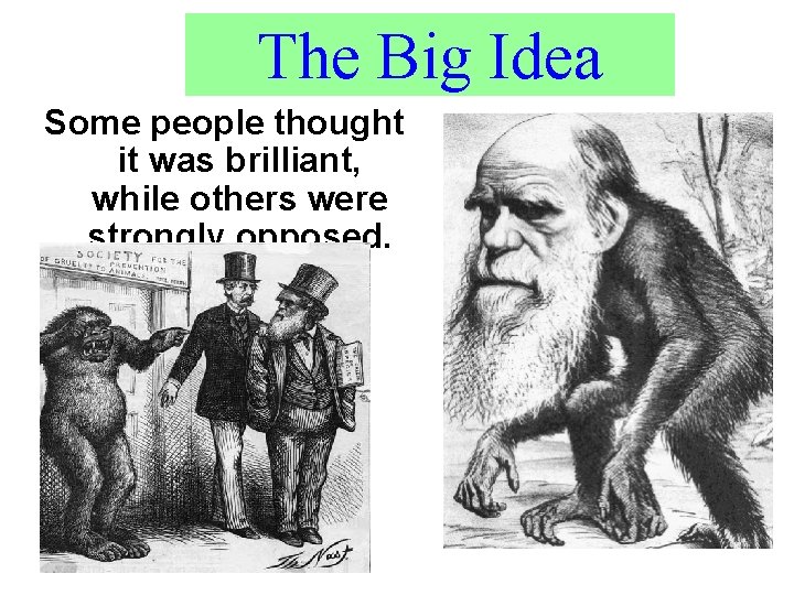 The Big Idea Some people thought it was brilliant, while others were strongly opposed.