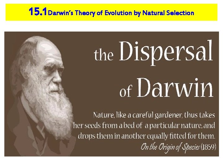 15. 1 Darwin’s Theory of Evolution by Natural Selection 