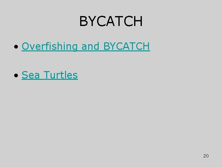 BYCATCH • Overfishing and BYCATCH • Sea Turtles 20 