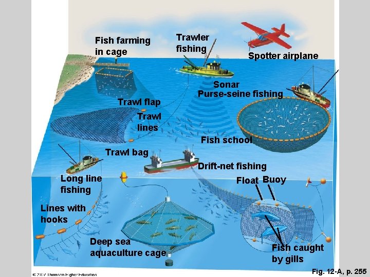 Fish farming in cage Trawl flap Trawler fishing Spotter airplane Sonar Purse-seine fishing Trawl