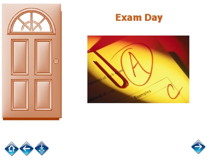 Exam Day 