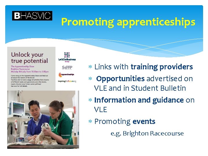Promoting apprenticeships Links with training providers Opportunities advertised on VLE and in Student Bulletin