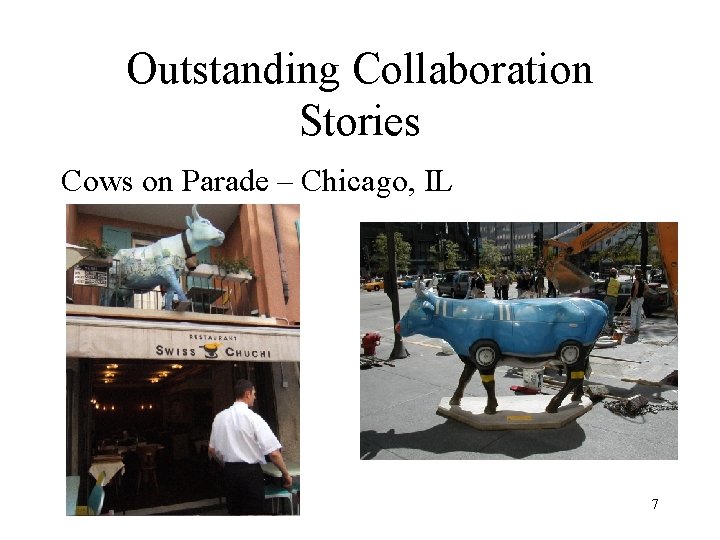 Outstanding Collaboration Stories Cows on Parade – Chicago, IL 7 