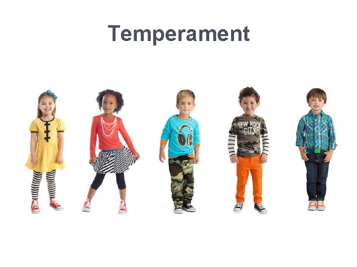 Temperament 