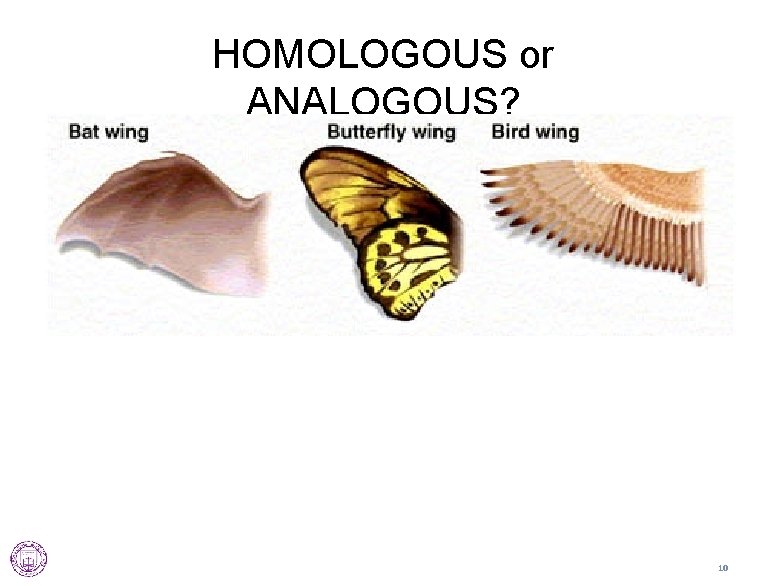 HOMOLOGOUS or ANALOGOUS? 10 