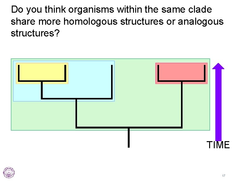 Do you think organisms within the same clade share more homologous structures or analogous