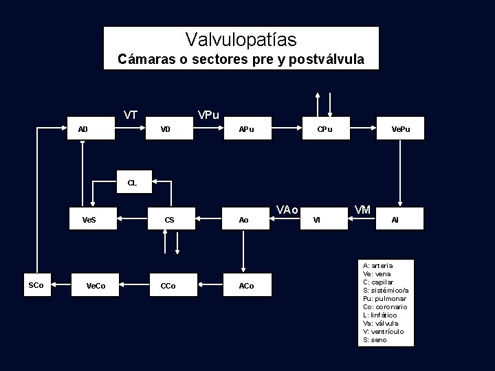 Valvulopatías Cámaras o sectores pre y postválvula VT AD VPu VD APu CPu Ve.