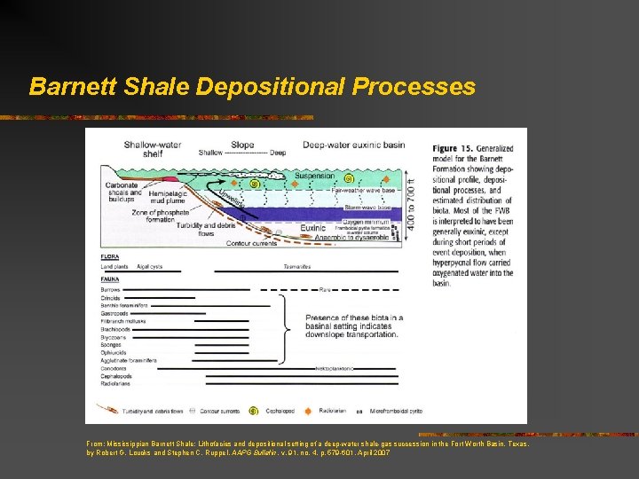 Barnett Shale Depositional Processes From: Mississippian Barnett Shale: Lithofacies and depositional setting of a