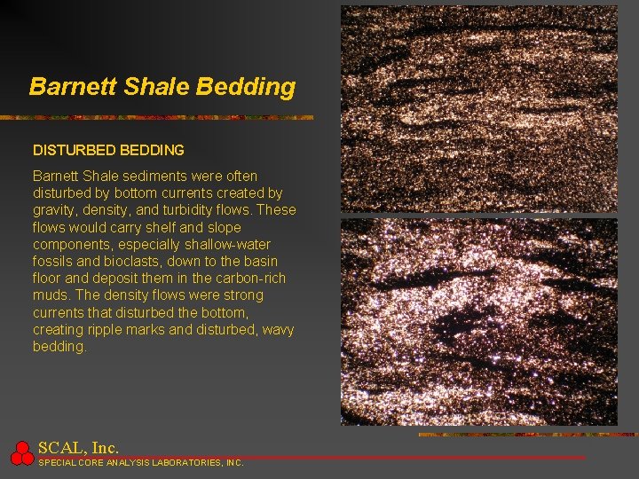 Barnett Shale Bedding DISTURBED BEDDING Barnett Shale sediments were often disturbed by bottom currents