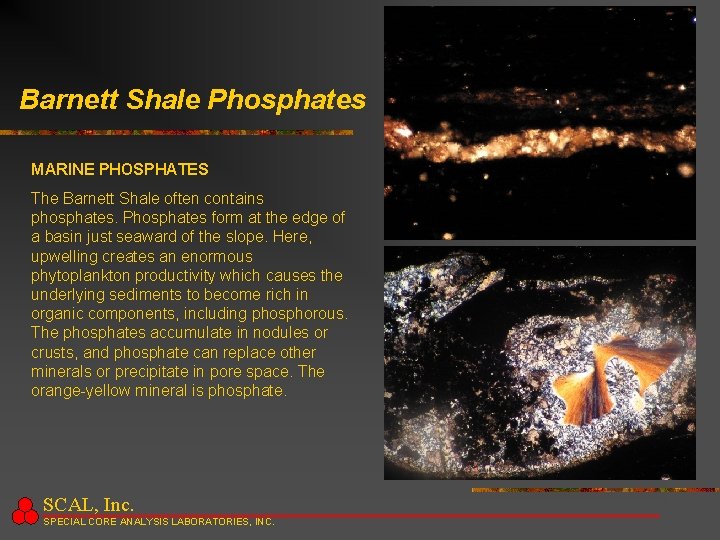 Barnett Shale Phosphates MARINE PHOSPHATES The Barnett Shale often contains phosphates. Phosphates form at