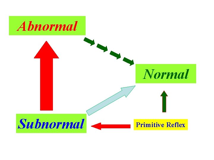 Abnormal Normal Subnormal Primitive Reflex 