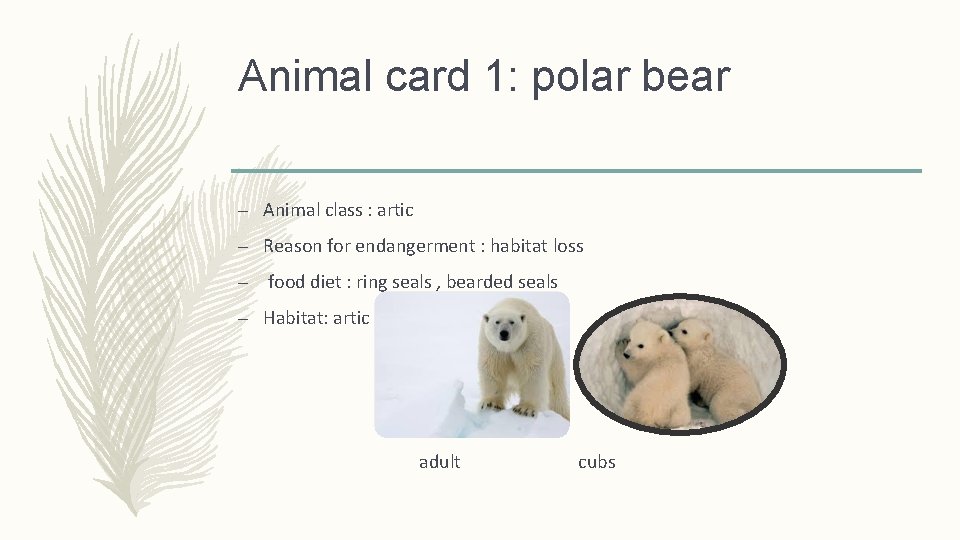 Animal card 1: polar bear – Animal class : artic – Reason for endangerment